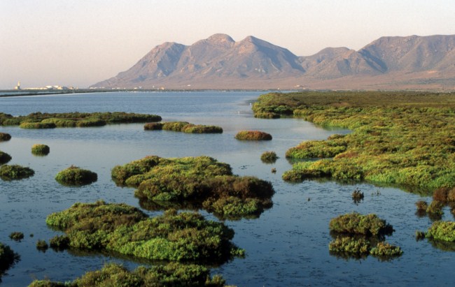 Andalucía. IU alega contra el macroproyecto turístico del Nazareno por su gran impacto en el parque natural Cabo de Gata