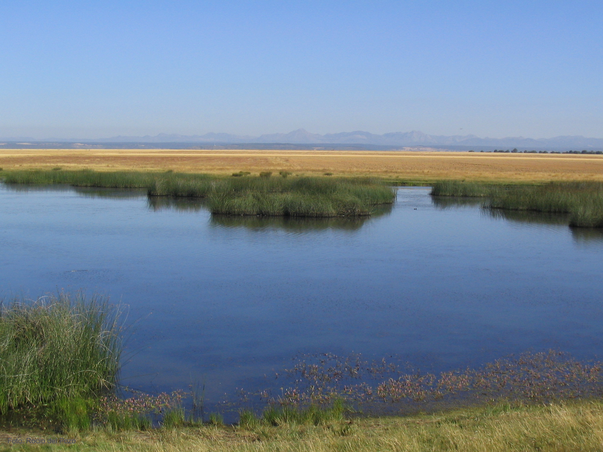 Las sequías producen cambios en los nutrientes de las lagunas que afectan a su estado ecológico