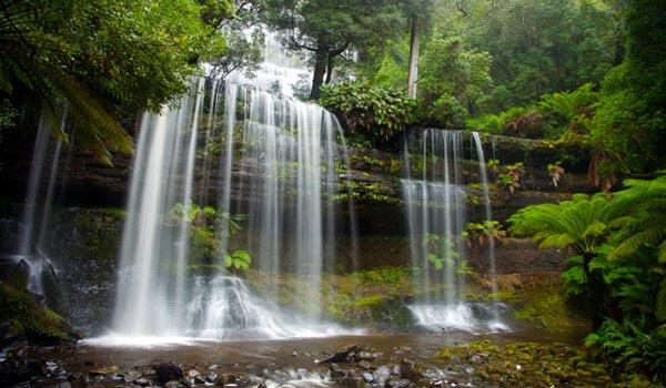 Murcia impulsa el funcionamiento de las Juntas Rectoras de los parques y reservas naturales
