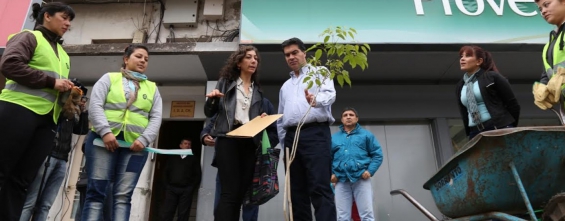 Resistencia impulsa la implantación de 24 árboles por cuadra