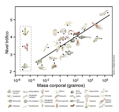 Conoce a fondo el ecosistema del Cañón de Avilés