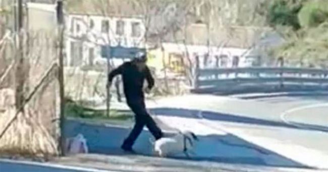 Video. Maltrato ‘salvaje’ a un cerdo vietnamita en Béjar (Salamanca)