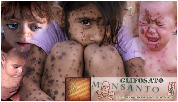 Colombia reanudó la controvertida fumigación con glifosato