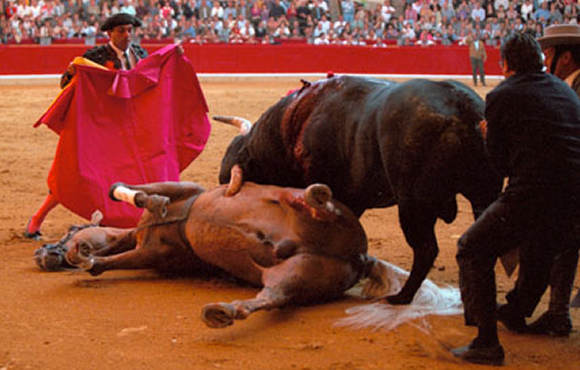 BNG propone prohibir los toros en Galicia