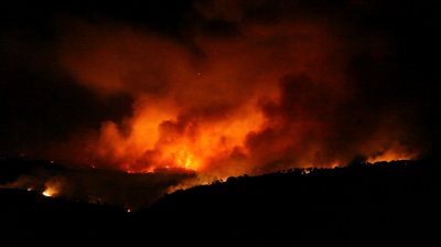 El incendio forestal de Hellín ‘no ha sido ningún accidente’
