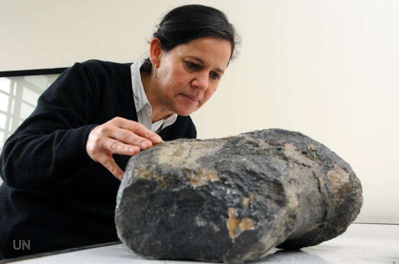 Descubren un dinosaurio de hace 125 millones de años en Boyacá