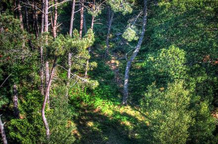 Medio Ambiente concede 2