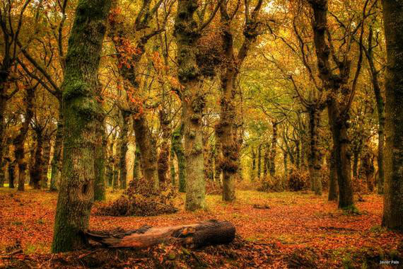 Los españoles priman la sostenibilidad sobre el crecimiento