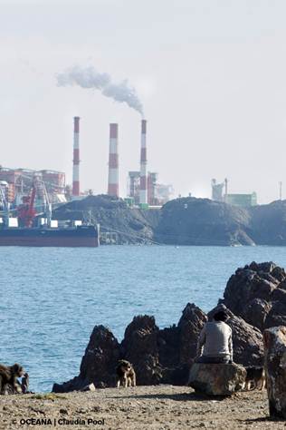 Chile. Oceana solicita a comité de ministros rechazar termoeléctrica punta alcalde