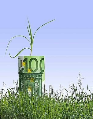 Compromiso con el medio ambiente como salida de la crisis