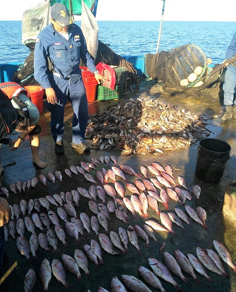 Insisten en daño ambiental que provocan barcos camaroneros de arrastre