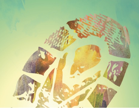 Día Mundial por la Reducción de las Emisiones de CO2