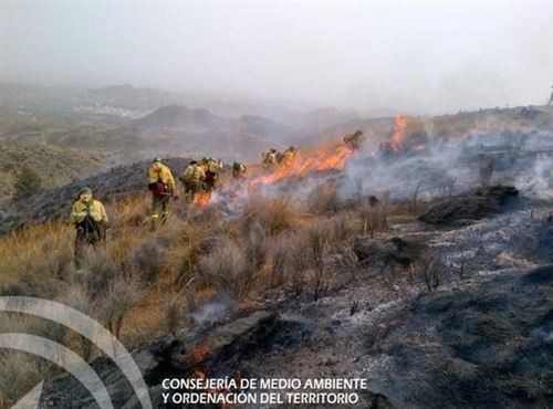 El fuego forestal ‘fulmina’ más de 68.000 hectáreas hasta agosto