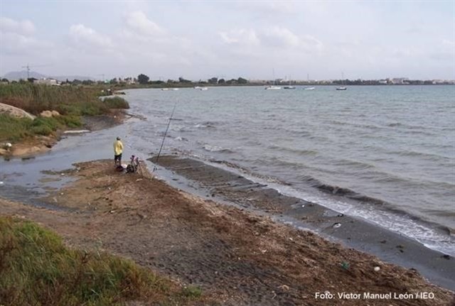 Se estudiará a fondo el ecosistema del Mar Menor