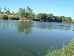 Aparece una mancha rojiza en el Lago de Butarque y el Ayuntamiento sospecha de que sea un vertido ilegal