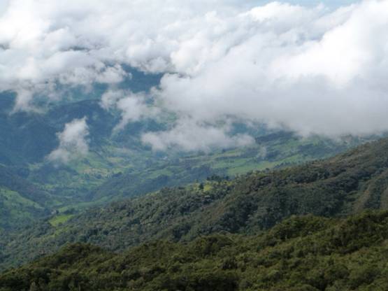 La sensibilidad del ciclo de carbono tropical a las variaciones de temperatura se ‘descontrola’