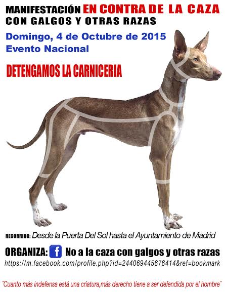 Manifestación contra la caza con galgos