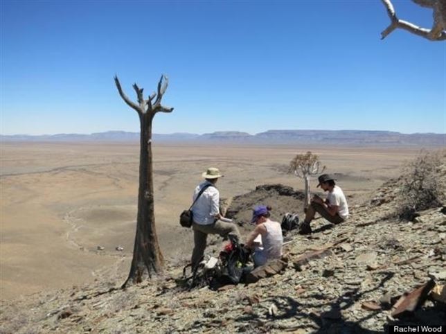 Descubren un arrecife de 550 millones de años en Namibia
