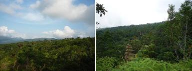 Expansión clave para la Reserva Pauxi Pauxi