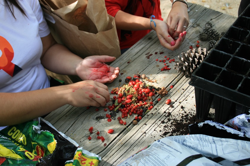 Reforesta llama la atención sobre la necesidad de facilitar el disfrute de la naturaleza a las personas con capacidades diferentes
