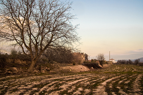 Almería. Plantación en la Reserva de Fauna Ibérica de Chirivel