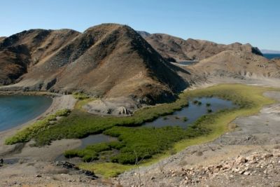 México destaca el valor de humedales