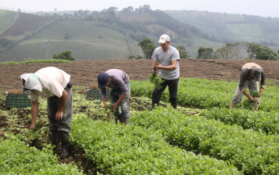 El país quiere adaptar su agricultura al calentamiento global