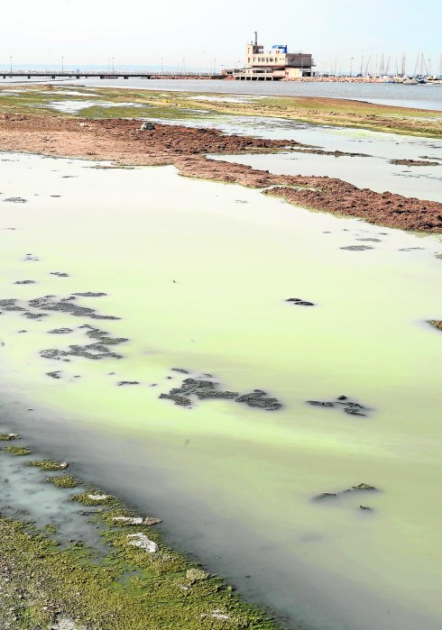 Presencia de metales pesados en los sedimentos que se pretende emplear para ampliar playas del Mar Menor