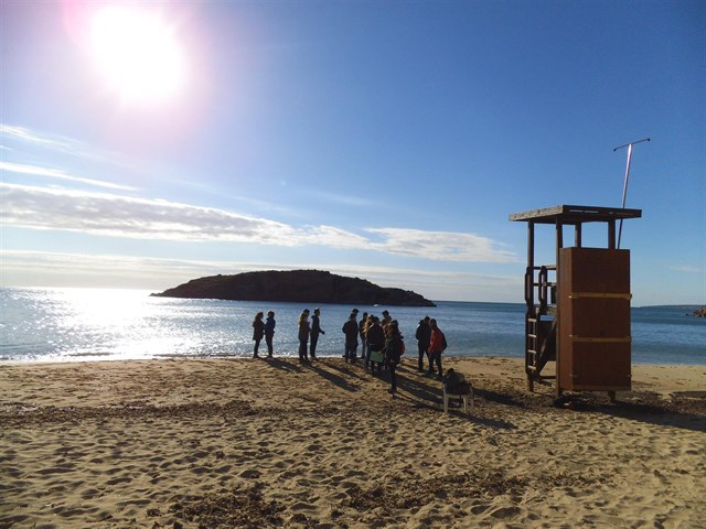 Calvià participa este año en nuevos proyectos medioambientales para conservar el litoral