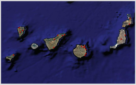 Canarias estudiará próximamente las consecuencias del cambio climático en la región euroafricana