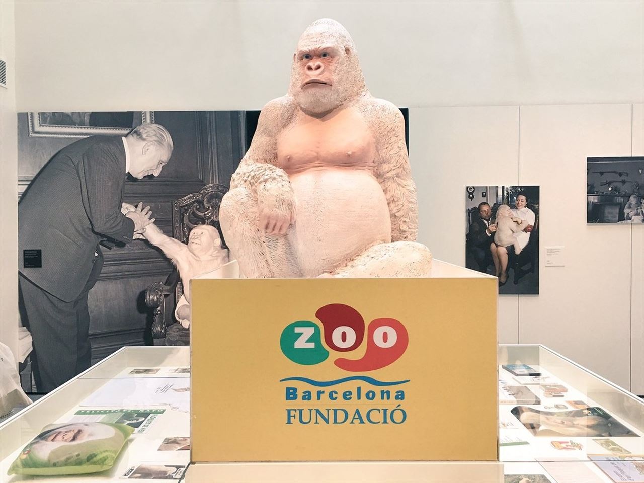 La cara ‘B’ de Copito en una exposición