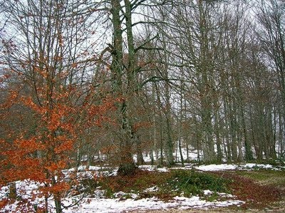 Euskadi vía su Red Natura 2000 debe gestionar de forma sostenible sus espacios naturales e impulsar la economía verde
