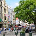 More trees for the cities