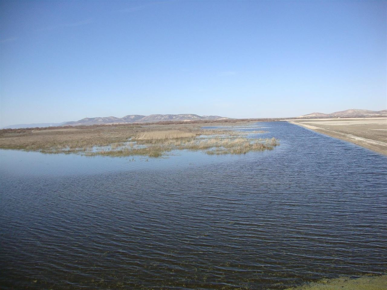Objetivo: restaurar el humedal La junta de los ríos