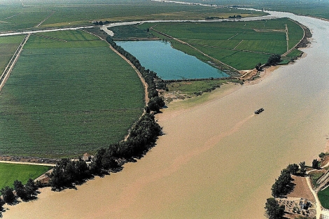 Denuncian el nuevo dragado en el Guadalquivir