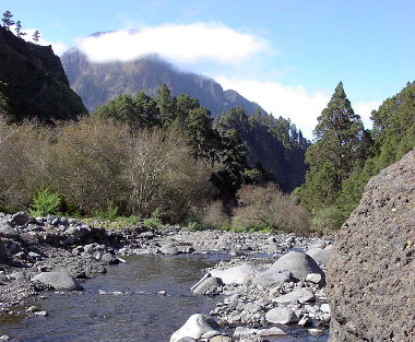 Canarias busca un logotipo para los cuatro Parques Nacionales