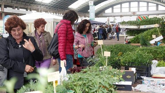 Torrelavega celebra su V Feria de Árboles y Plantas los días 16 y 17 de abril