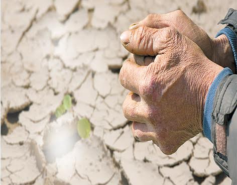 Corea del Norte ‘desolada’ por su peor sequía