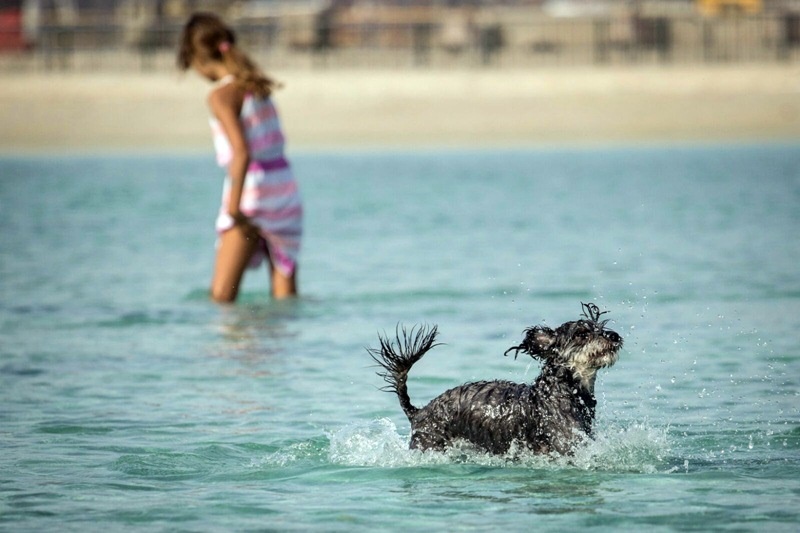 Canarias registra uno de los meses de mayo más cálidos de los últimos 97 años