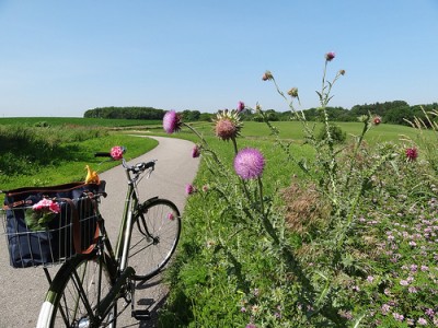 10 ideas sencillas y fáciles para vivir un verano verde