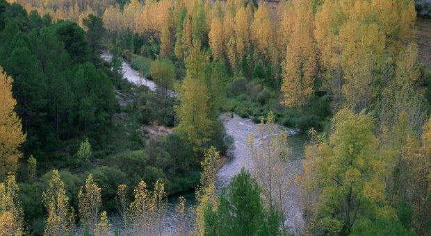 Plan Hidrológico del Tajo ‘amenaza’ para los ríos madrileños