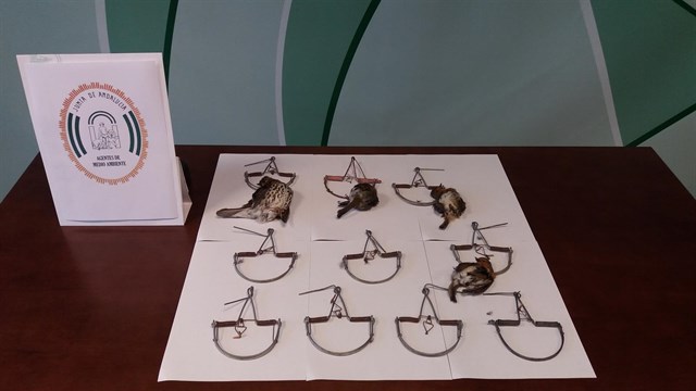 Expedientan en Almería a un hombre por poner diez trampas ilegales para pájaros en la Sierra de los Filabres