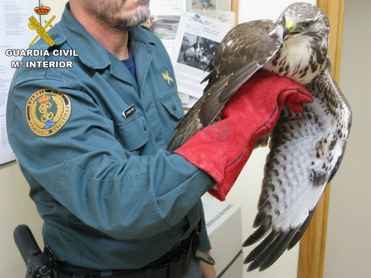 La Guardia Civil y su inestimable servicio a la naturaleza