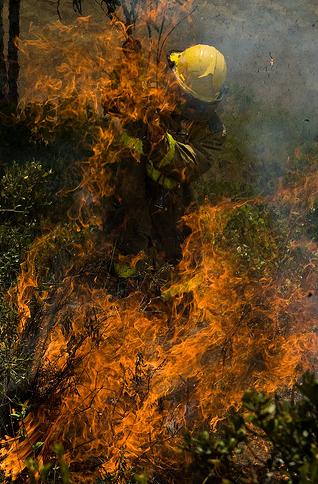Los diputados de la Comisión de Medio Ambiente de las Cortes visitan Ordesa para conocer las medidas anti-incendios