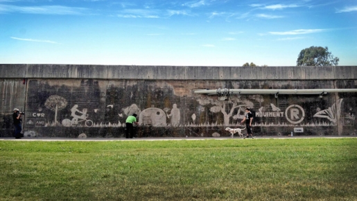 GRAFFITI LIMPIO 3R (Reutilizar