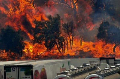 Incendios forestales