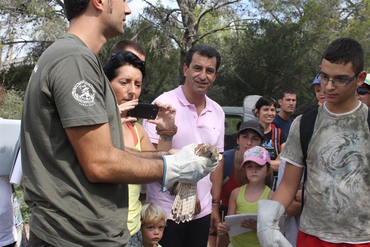 Islas Baleares. Liberan una treintena de ejemplares de fauna autóctona