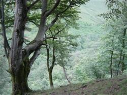 II Encuentro sobre sostenibilidad local en Bizkaia