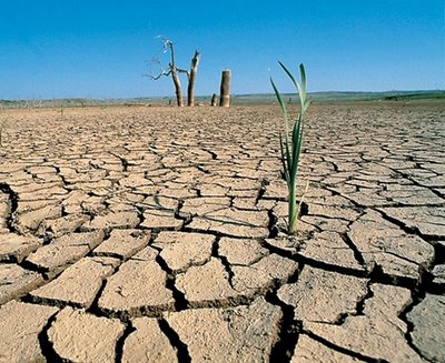 Murcia adoptará medidas para afrontar los efectos del cambio climático