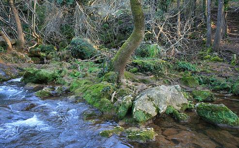 El Secretario de Estado de Medio Rural y Agua inaugura la obra de restauración del Bosque de la Ribera en el río Ebro y visita las obras de la EDAR en Sant Jaume dEnveja (Tarragona)
